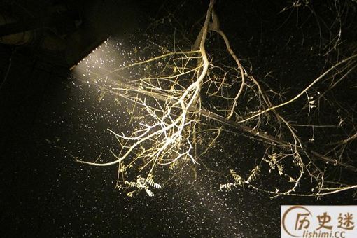 白居易的夜雪为何评价那么高