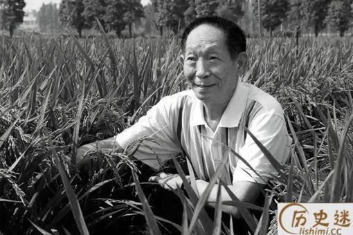 盘点那些经典缅怀袁隆平的诗词