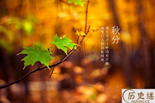 秋天古诗最好的10首(含赏析)