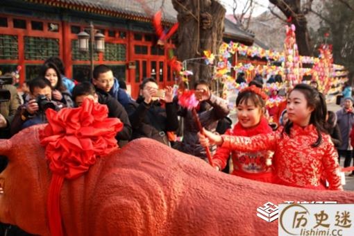 立春为什么要打春牛