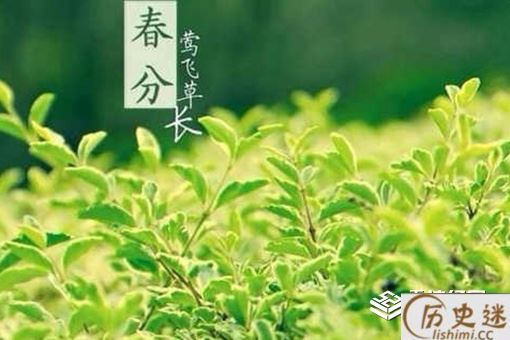 关于春分的优美句子