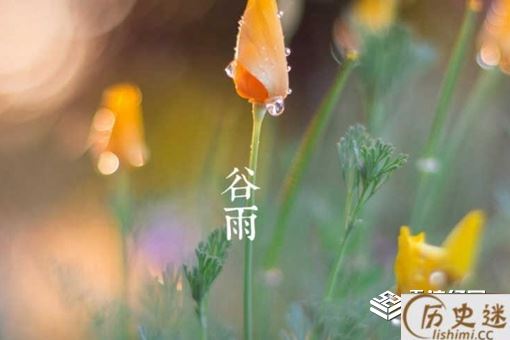 谷雨节气的风俗有哪些