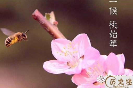 古诗《惊蛰》四言绝句