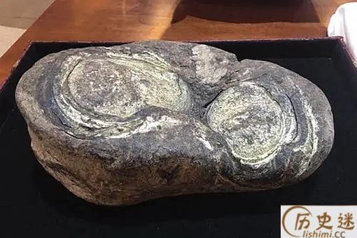 什么动物粪便可以入药