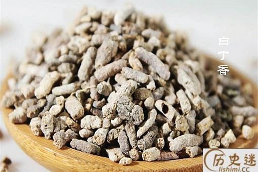 什么动物粪便可以入药