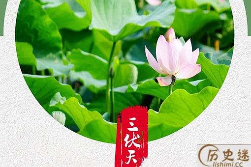 三伏天如何调理身体？又吃什么去湿气寒气