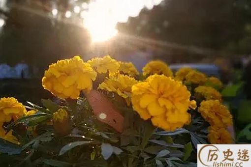 元轻白俗,郊寒岛瘦是指什么意思