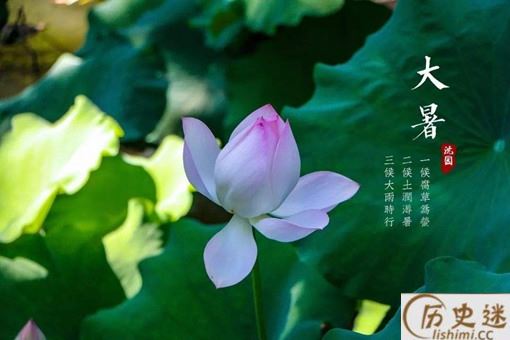 大暑是一年中最热的吗应该注意什么问题