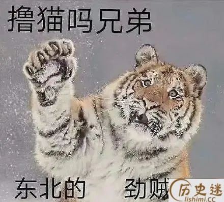 虎作姓氏时念“māo”吗