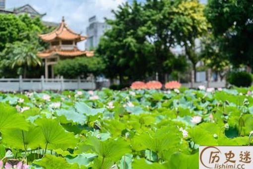 雨打小暑头,45天不耕牛是什么意思