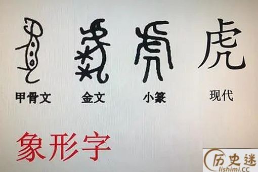虎这个姓氏的由来