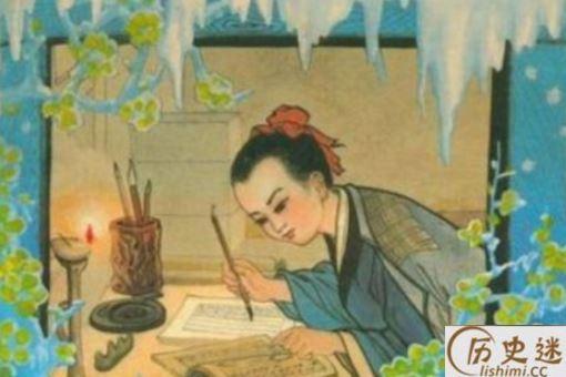 穷鸟入怀什么意思