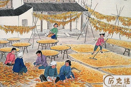 为什么一定要分清五谷