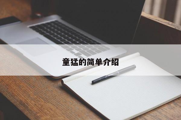 童猛的简单介绍