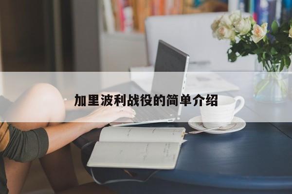 加里波利战役的简单介绍
