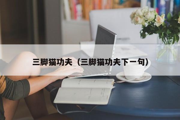 三脚猫功夫（三脚猫功夫下一句）