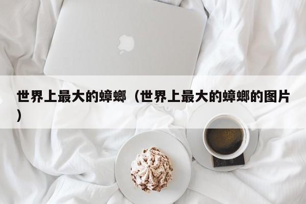 世界上最大的蟑螂（世界上最大的蟑螂的图片）