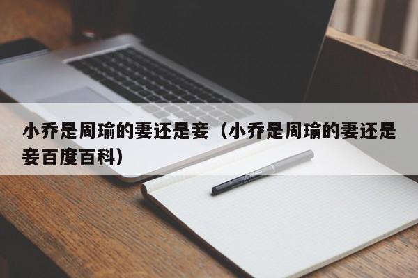 小乔是周瑜的妻还是妾（小乔是周瑜的妻还是妾百度百科）
