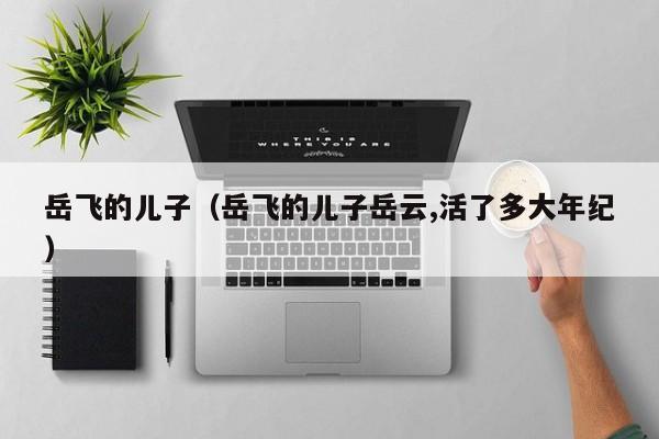 岳飞的儿子（岳飞的儿子岳云,活了多大年纪）