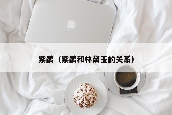 紫鹃（紫鹃和林黛玉的关系）