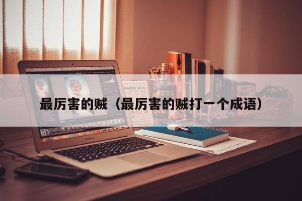 最厉害的贼（最厉害的贼打一个成语）