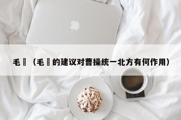 毛玠（毛玠的建议对曹操统一北方有何作用）