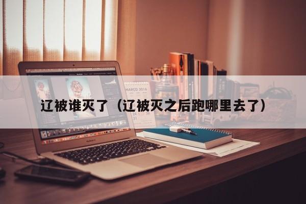 辽被谁灭了（辽被灭之后跑哪里去了）