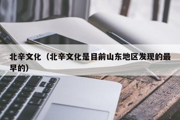 北辛文化（北辛文化是目前山东地区发现的最早的）