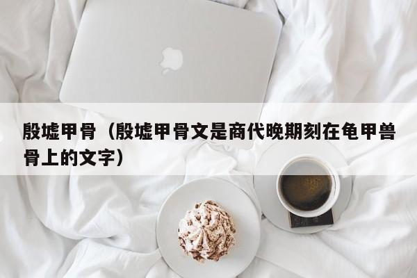 殷墟甲骨（殷墟甲骨文是商代晚期刻在龟甲兽骨上的文字）