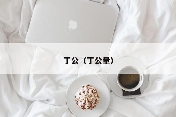 丁公（丁公量）