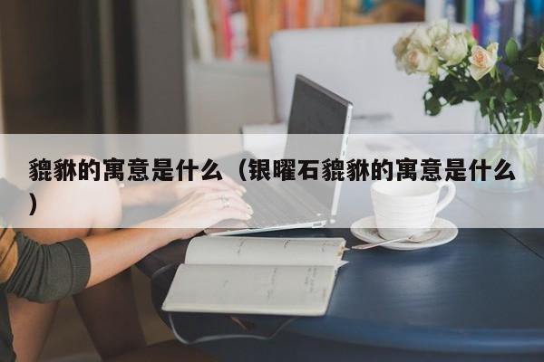 貔貅的寓意是什么（银曜石貔貅的寓意是什么）