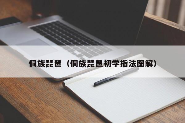 侗族琵琶（侗族琵琶初学指法图解）