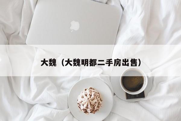 大魏（大魏明都二手房出售）