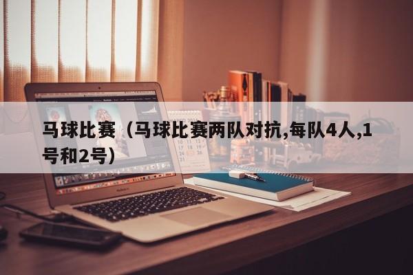 马球比赛（马球比赛两队对抗,每队4人,1号和2号）