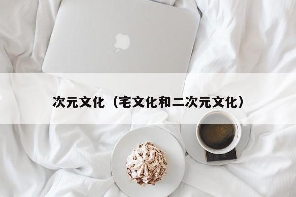 次元文化（宅文化和二次元文化）