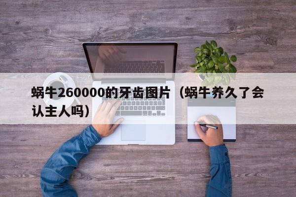 蜗牛260000的牙齿图片（蜗牛养久了会认主人吗）