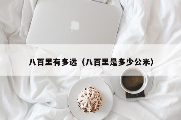 八百里有多远（八百里是多少公米）