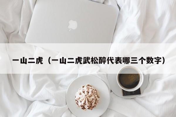 一山二虎(一山二虎武松醉代表哪三个数字)