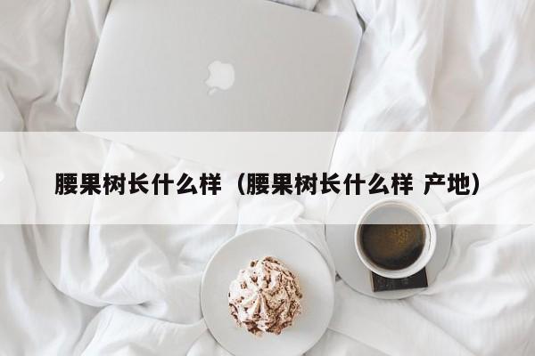 腰果树长什么样（腰果树长什么样 产地）