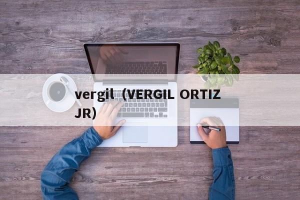 vergil（VERGIL ORTIZ JR）