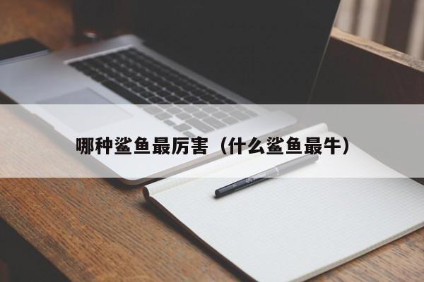 哪种鲨鱼最厉害（什么鲨鱼最牛）