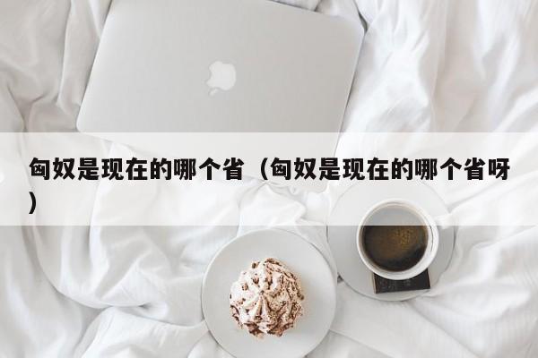 匈奴是现在的哪个省（匈奴是现在的哪个省呀）
