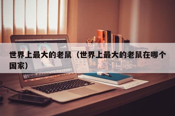 世界上最大的老鼠（世界上最大的老鼠在哪个国家）