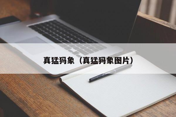 真猛犸象（真猛犸象图片）