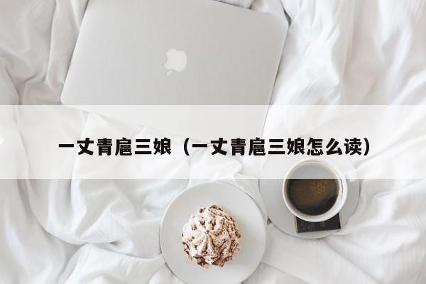 一丈青扈三娘（一丈青扈三娘怎么读）
