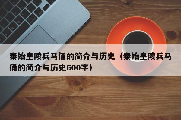 秦始皇陵兵马俑的简介与历史（秦始皇陵兵马俑的简介与历史600字）