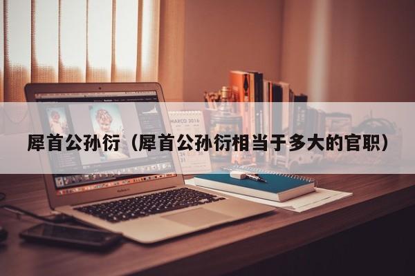 犀首公孙衍（犀首公孙衍相当于多大的官职）