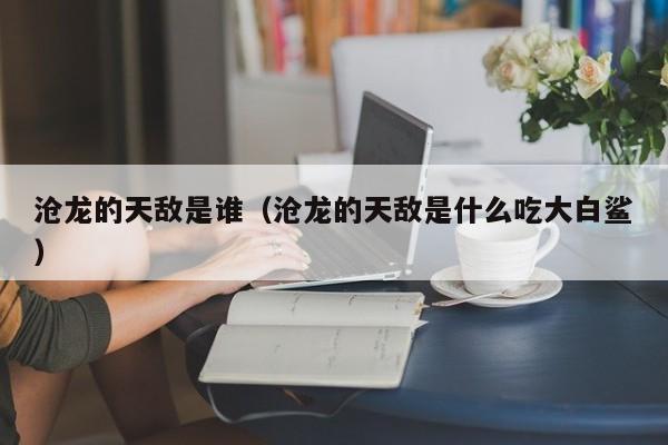 沧龙的天敌是谁（沧龙的天敌是什么吃大白鲨）