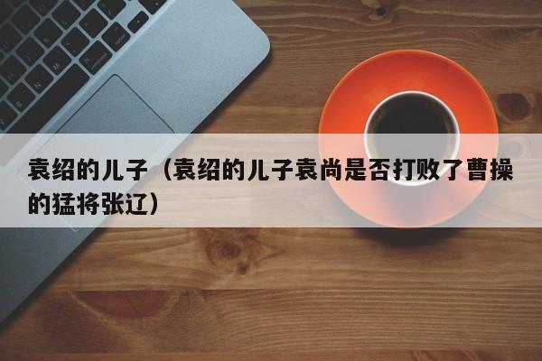袁绍的儿子（袁绍的儿子袁尚是否打败了曹操的猛将张辽）