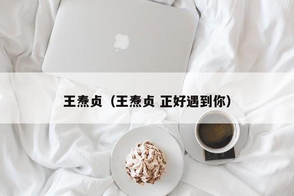 王焘贞(王焘贞 正好遇到你)
